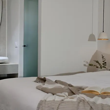Vlia Mykonos Apartment