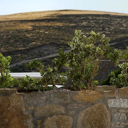 Vlia Mykonos * Kalafatis