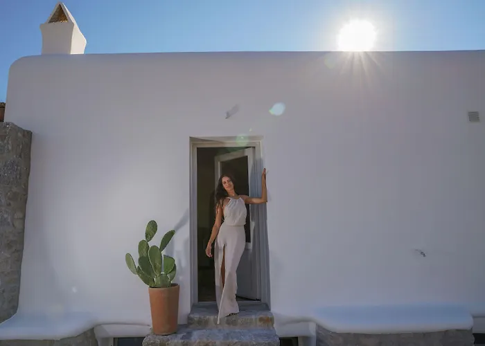 Lejlighed Vlia Mykonos